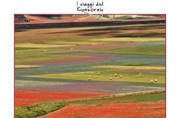 Umbria spettacolare: borghi e fioritura delle lenticchie 21-24/06/2024